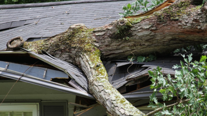 A house is damaged by a fallen tree, necessitating immediate emergency roof repair.