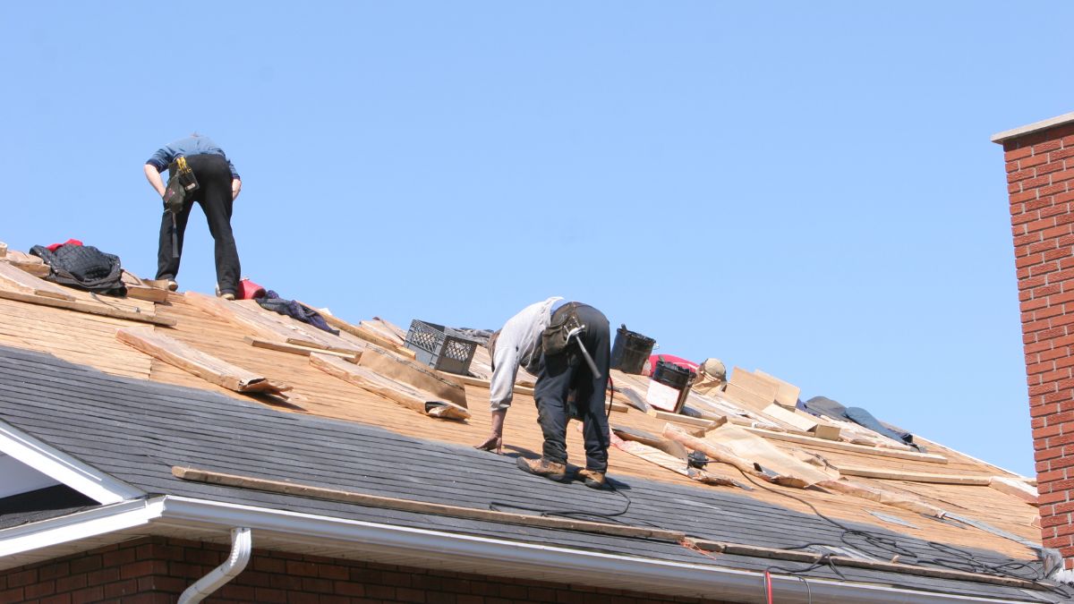 Two roofers install shingles on a residential roof under clear blue skies, with tools, wood planks, and materials spread out across the roof surface.