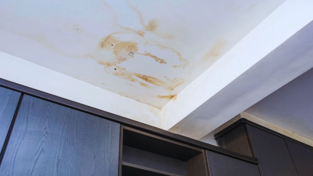 Brown water stains spread across a white ceiling above dark wooden cabinets, indicating possible roof leaks. The discoloration varies in size and shape, with darker areas and edges showing evidence of moisture damage to the interior.