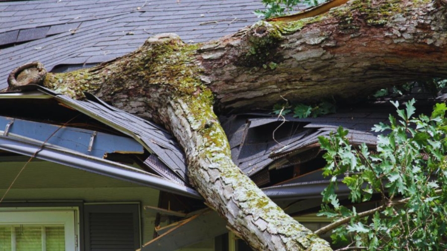 A large tree has fallen on a home’s roof, displacing shingles and crushing roof framing.