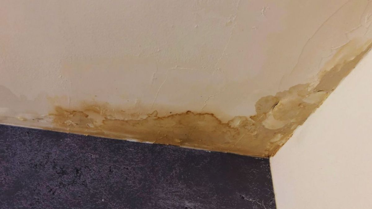 Interior room corner with brown water stains, peeling paint, and bubbled plaster along the ceiling—typical signs of a roof leak above.