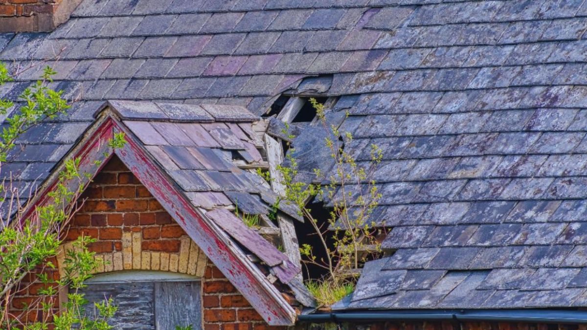 Severely worn and collapsing slate roof on an old brick house, with missing and broken shingles, sagging sections, and weeds growing through gaps in the roofing.
