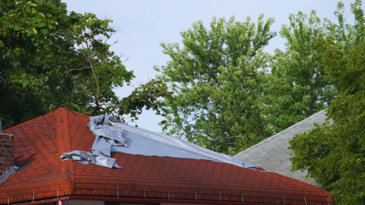Sagging or uneven roof lines showing a low red shingle roof partially covered with a silver tarp, with nearby trees and neighboring rooftops visible in the background.