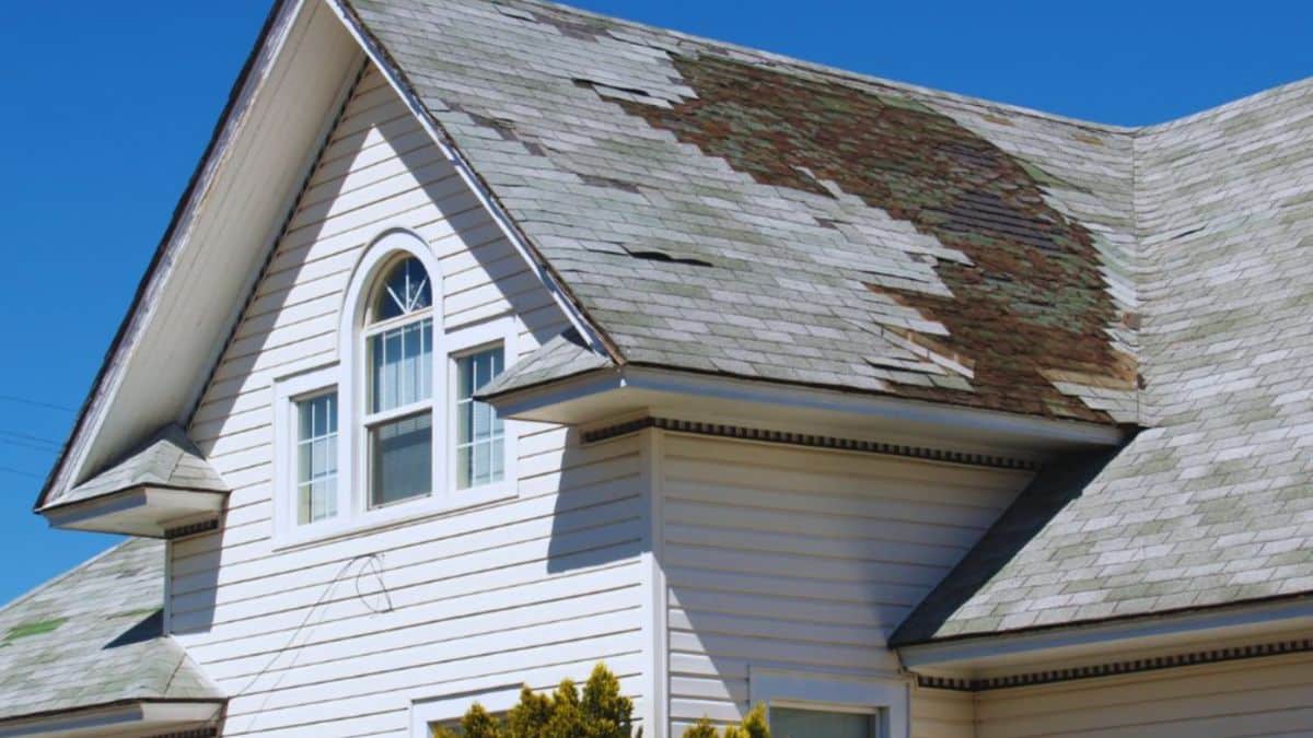 Residential home showing severe roof problems, including missing shingles, roof discoloration, moss growth, and visible wear indicating the need for roof repair or replacement.