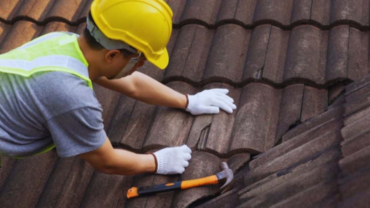 A roofing professional inspecting and repairing damaged slate roof tiles.